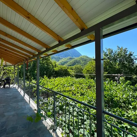Mountain House Permet Lodge Draçovë